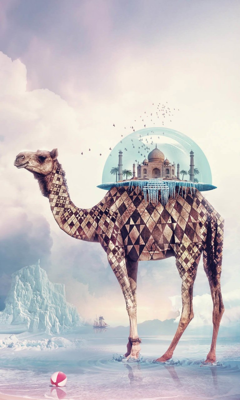Fantasy Camel Wallpaper for LG Optimus G