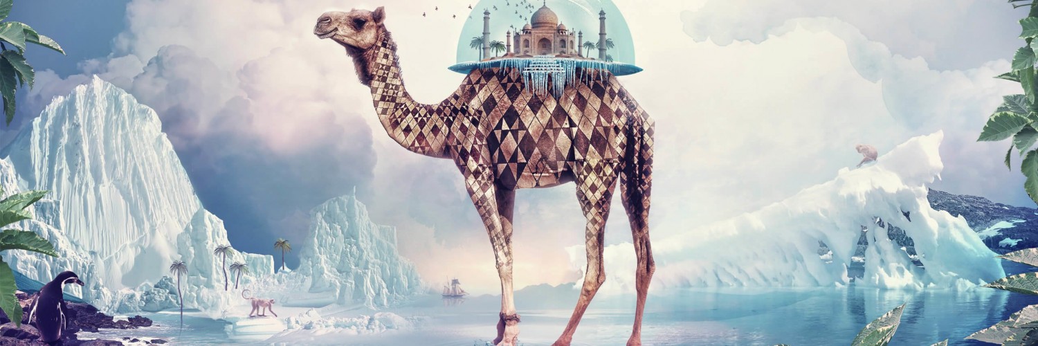 Fantasy Camel Wallpaper for Social Media Twitter Header