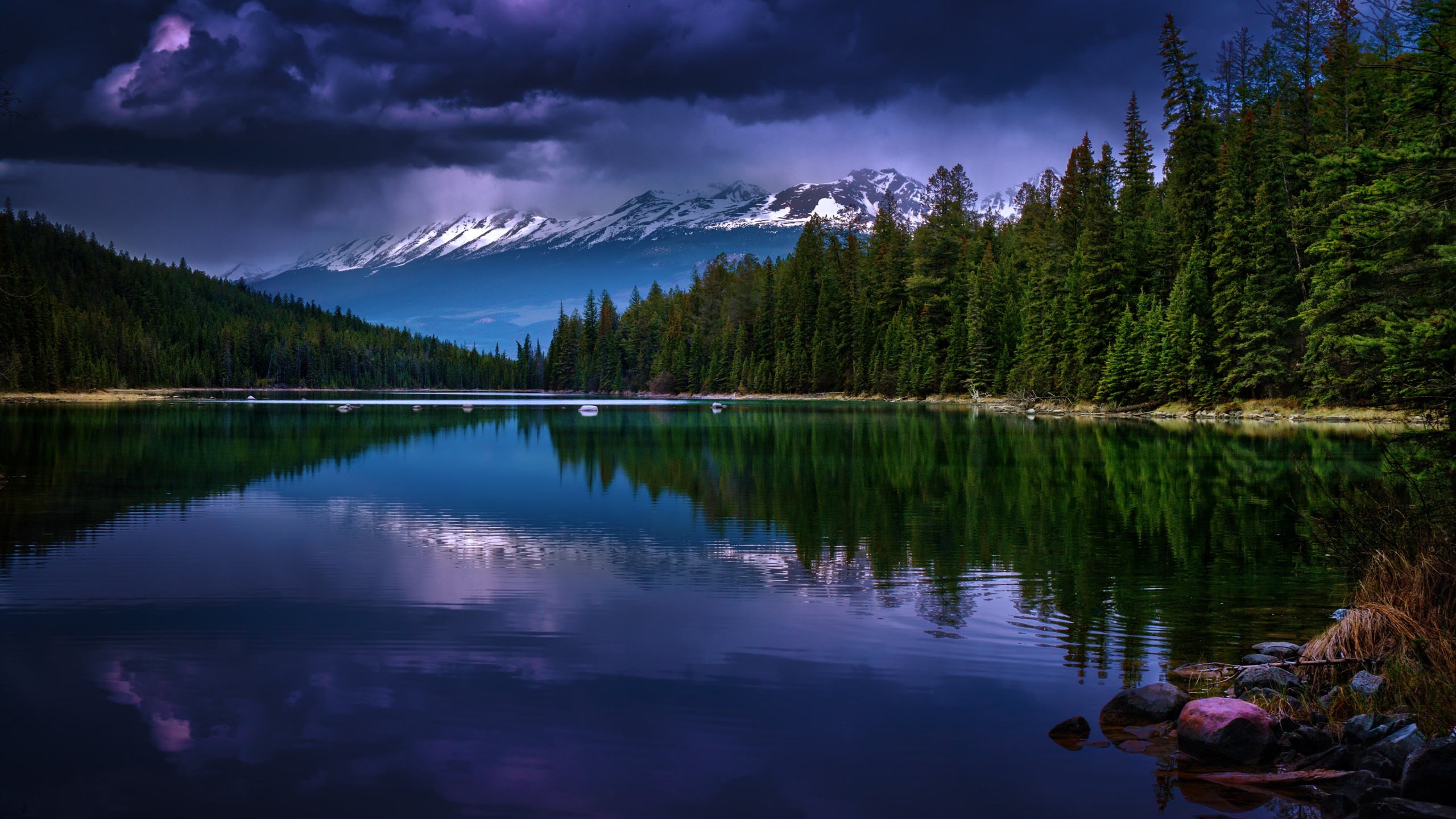 First Lake, Alberta, Canada Wallpaper for Desktop 2560x1440