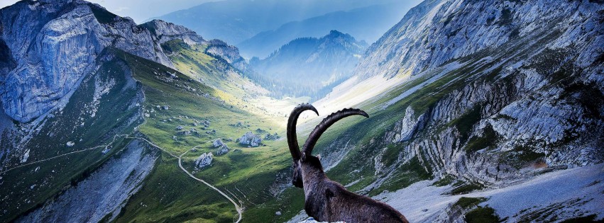 Goat at Pilatus, Switzerland Wallpaper for Social Media Facebook Cover