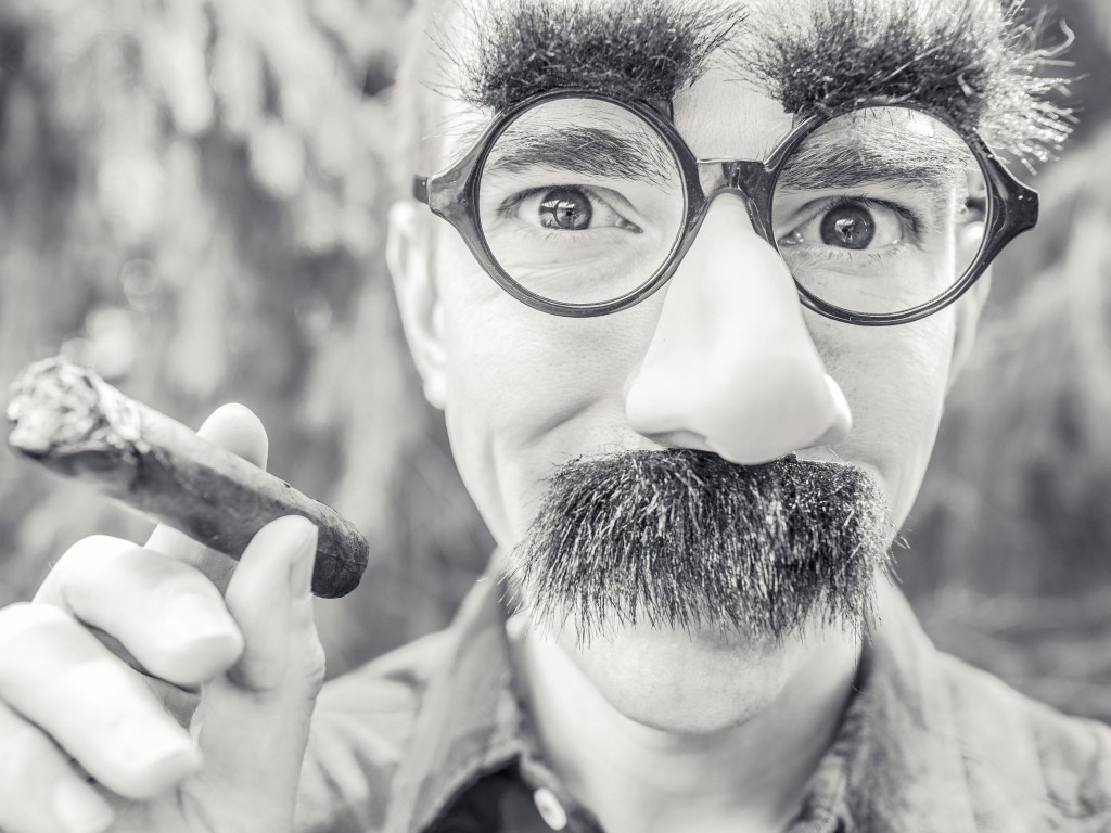Groucho Glasses Man Wallpaper for Desktop 1024x768