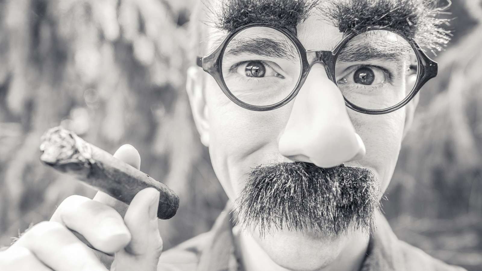 Groucho Glasses Man Wallpaper for Desktop 1600x900
