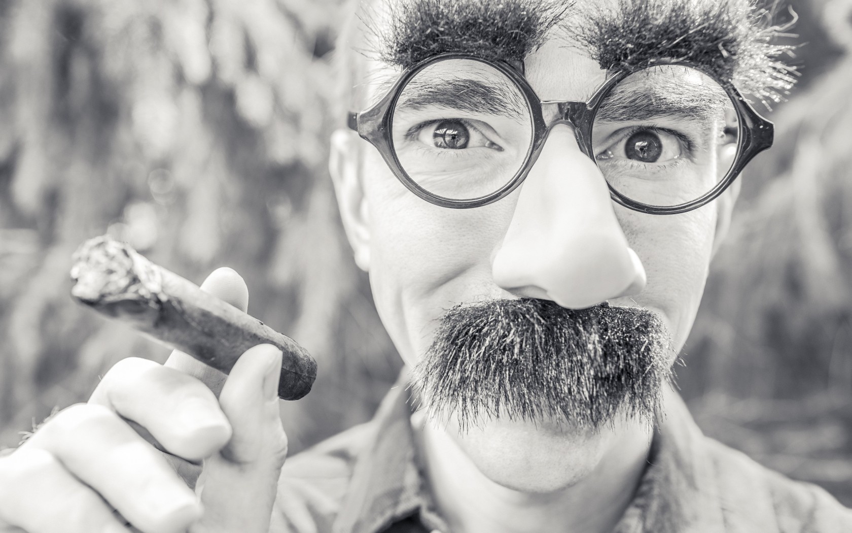 Groucho Glasses Man Wallpaper for Desktop 1680x1050