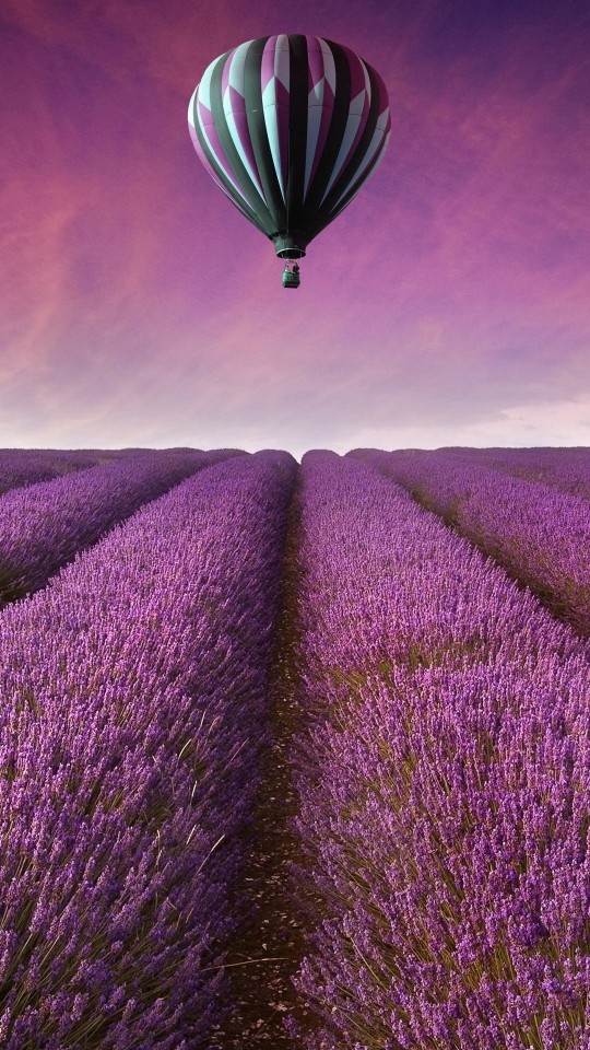 Hot Air Balloon Over Lavender Field Wallpaper for SAMSUNG Galaxy S4 Mini
