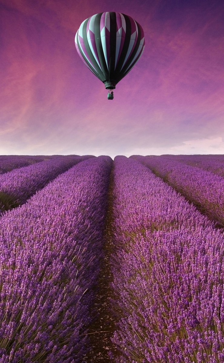 Hot Air Balloon Over Lavender Field Wallpaper for Apple iPhone 4 / 4s