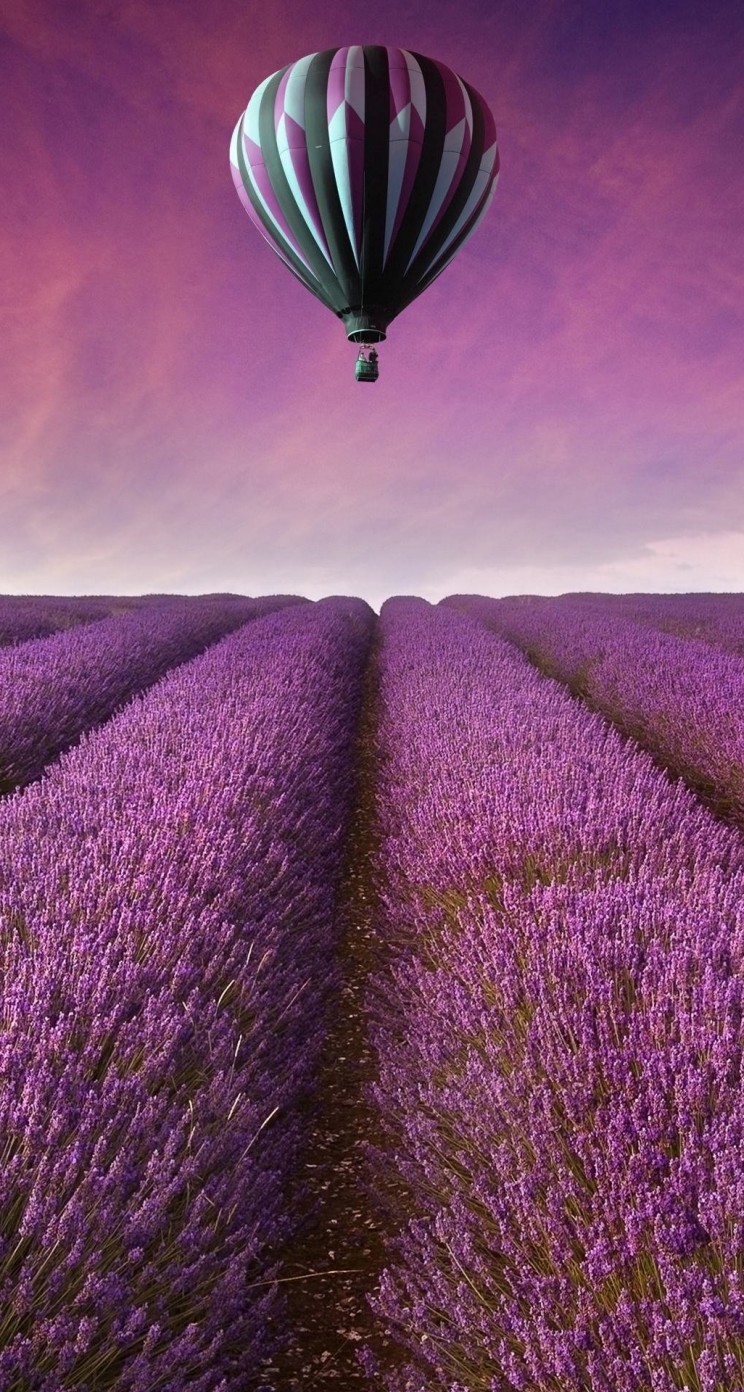 Hot Air Balloon Over Lavender Field Wallpaper for Apple iPhone 5 / 5s