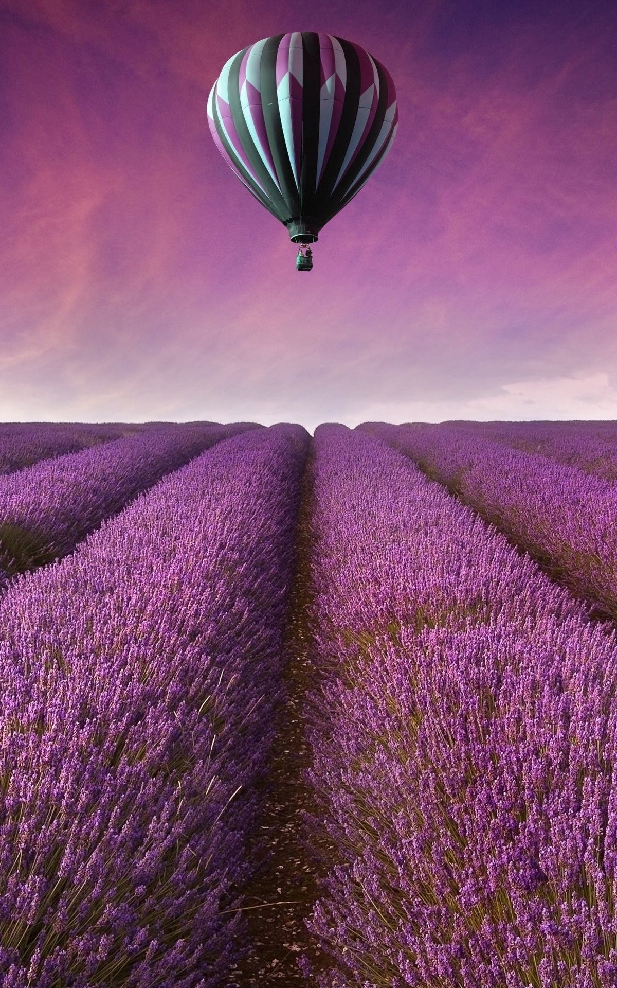 Hot Air Balloon Over Lavender Field Wallpaper for Amazon Kindle Fire HDX