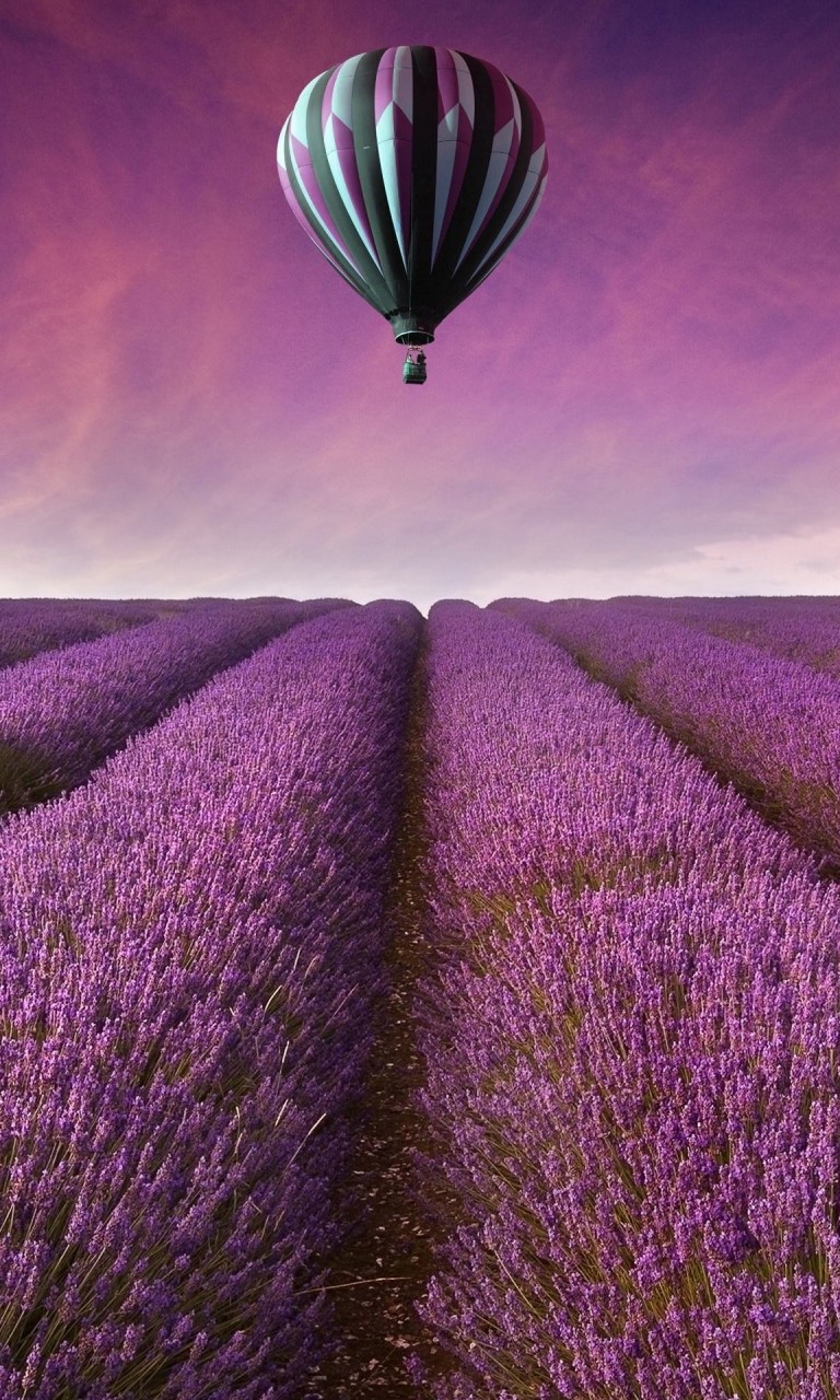 Hot Air Balloon Over Lavender Field Wallpaper for LG Optimus G