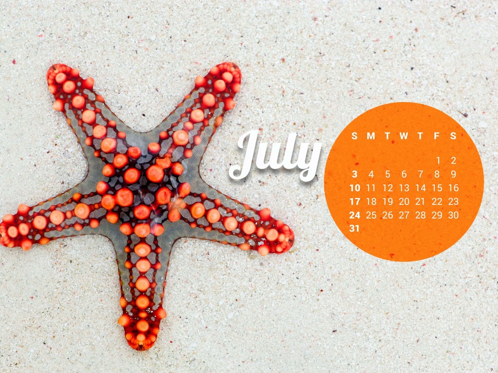 July 2016 Calendar Wallpaper for Desktop 1024x768