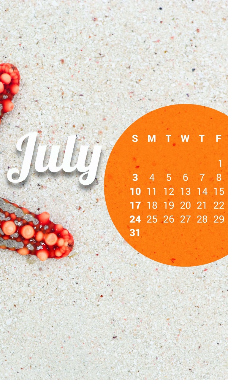July 2016 Calendar Wallpaper for Google Nexus 4
