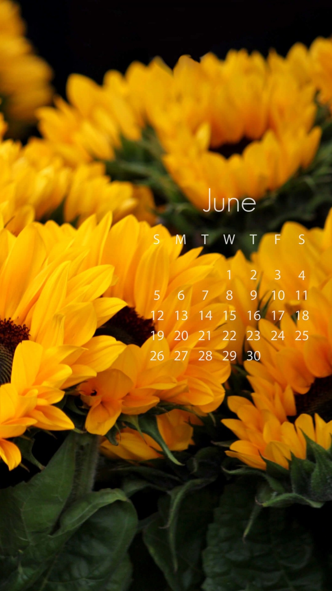 June 2016 Calendar Wallpaper for SAMSUNG Galaxy Note 3