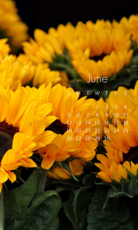 June 2016 Calendar Wallpaper for SAMSUNG Galaxy S3 Mini