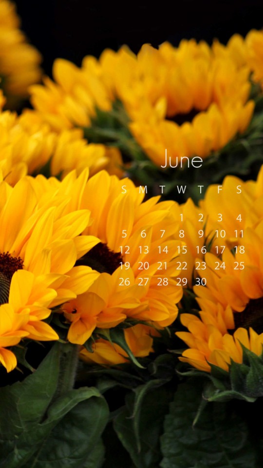 June 2016 Calendar Wallpaper for SAMSUNG Galaxy S4 Mini