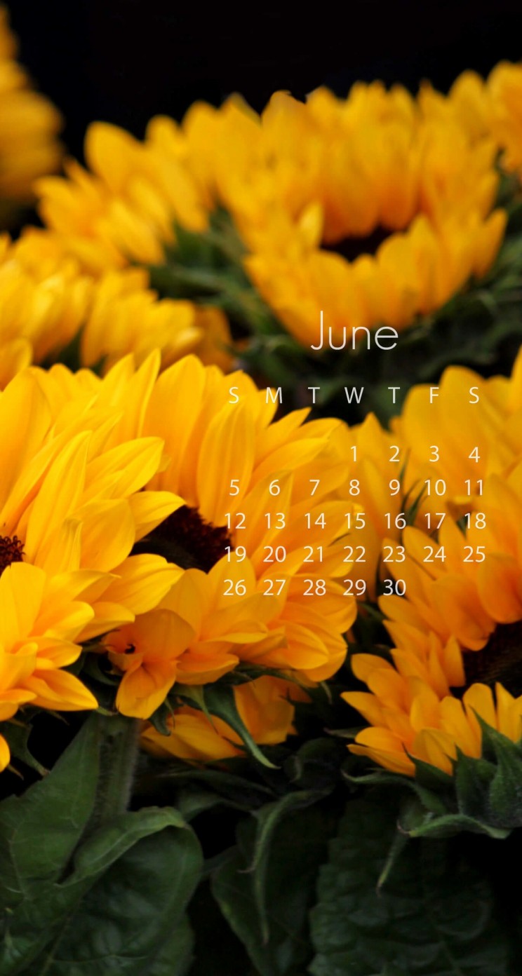 June 2016 Calendar Wallpaper for Apple iPhone 5 / 5s