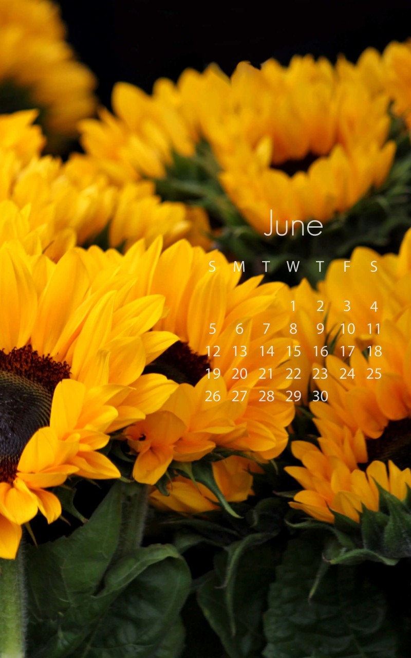 June 2016 Calendar Wallpaper for Amazon Kindle Fire HD