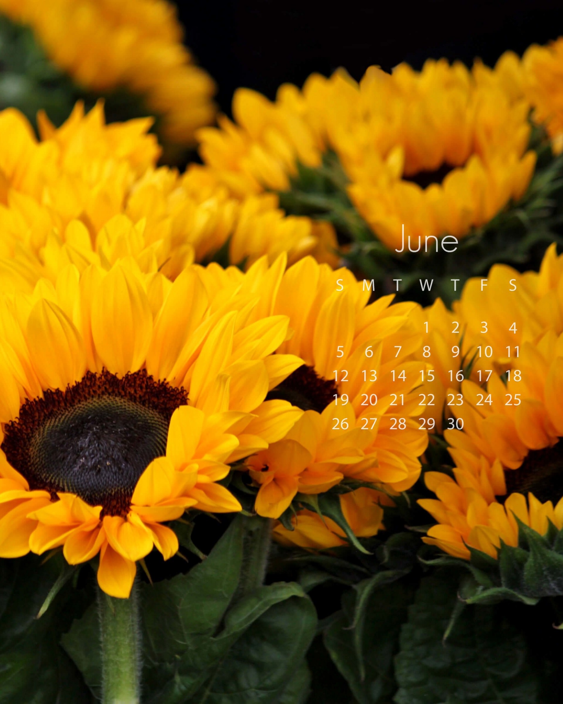 June 2016 Calendar Wallpaper for Google Nexus 7
