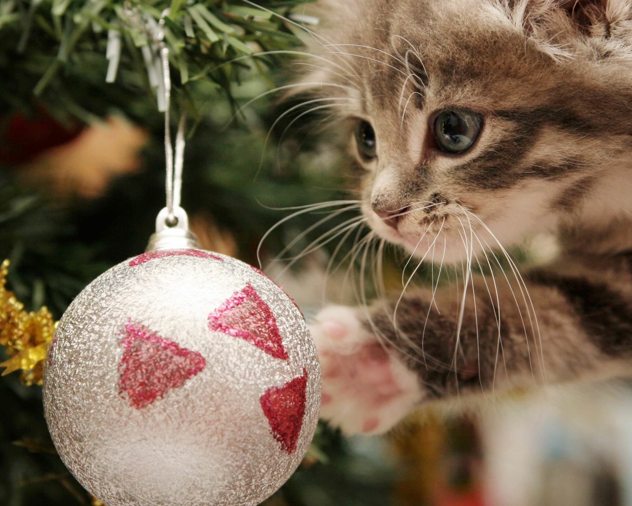 Kitten Playing With Christmas Ornaments Wallpaper for Desktop 1280x1024