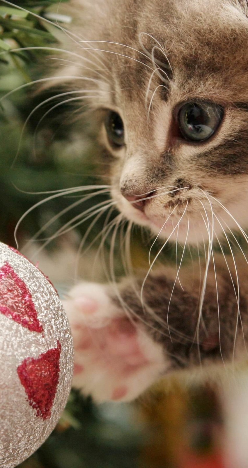 Kitten Playing With Christmas Ornaments Wallpaper for Apple iPhone 6 / 6s