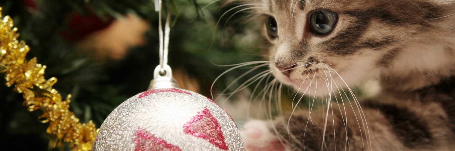 Kitten Playing With Christmas Ornaments Wallpaper for Social Media Twitter Header