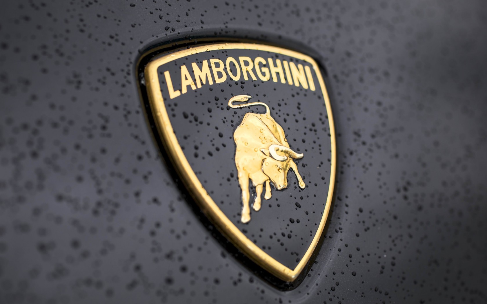 Lamborghini Logo Wallpaper for Desktop 1680x1050