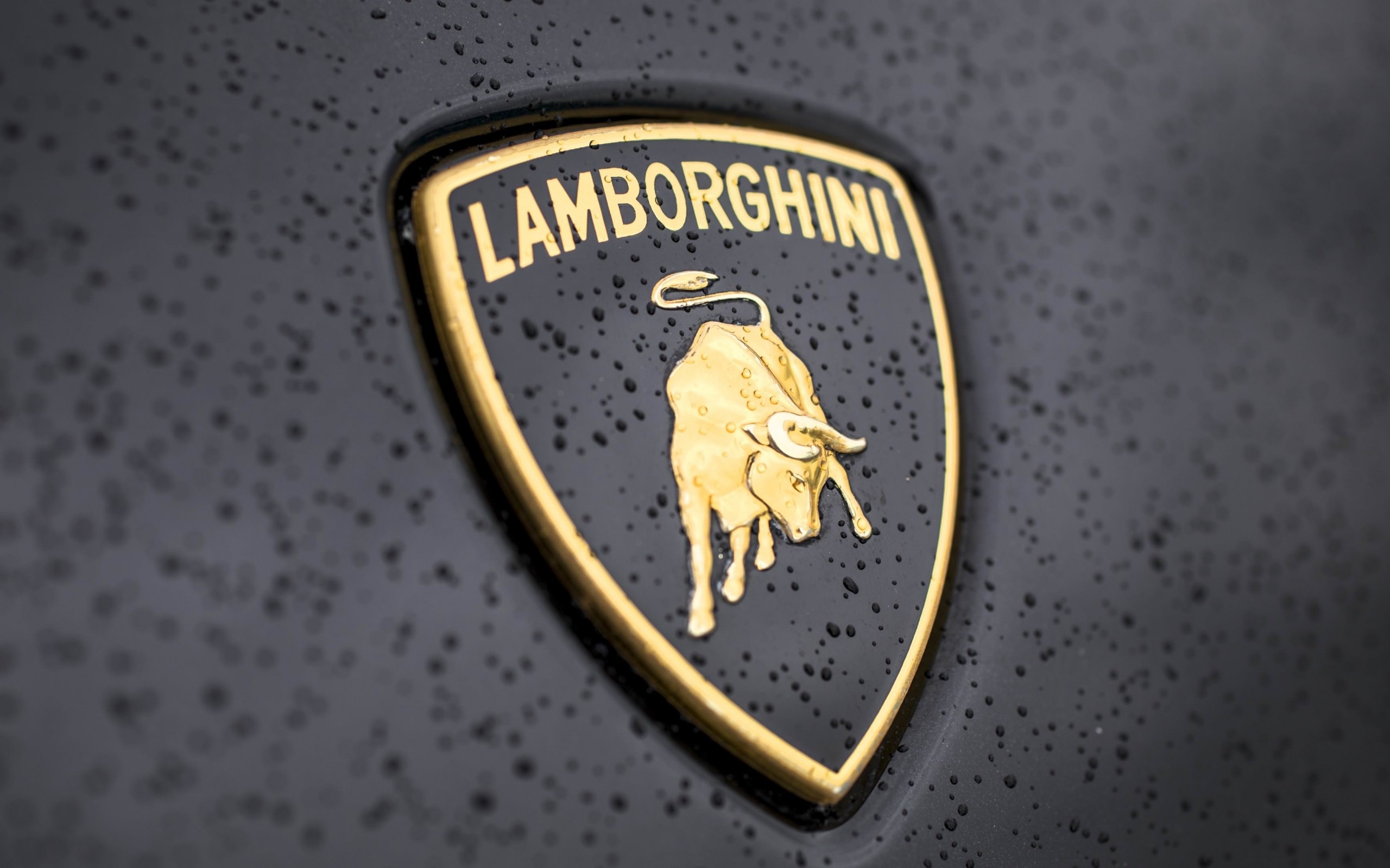 Lamborghini Logo Wallpaper for Desktop 2560x1600
