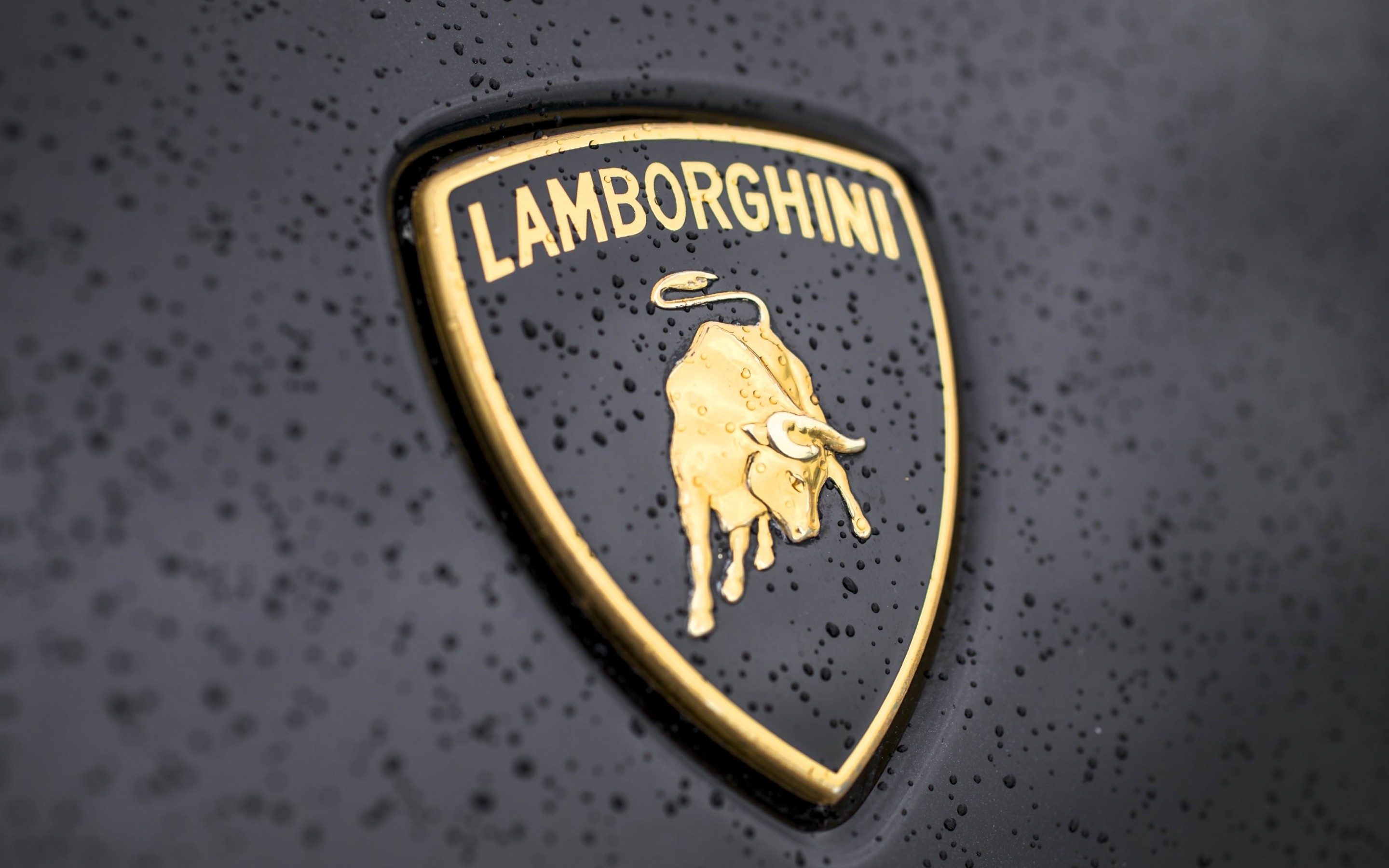Lamborghini Logo Wallpaper for Desktop 2880x1800