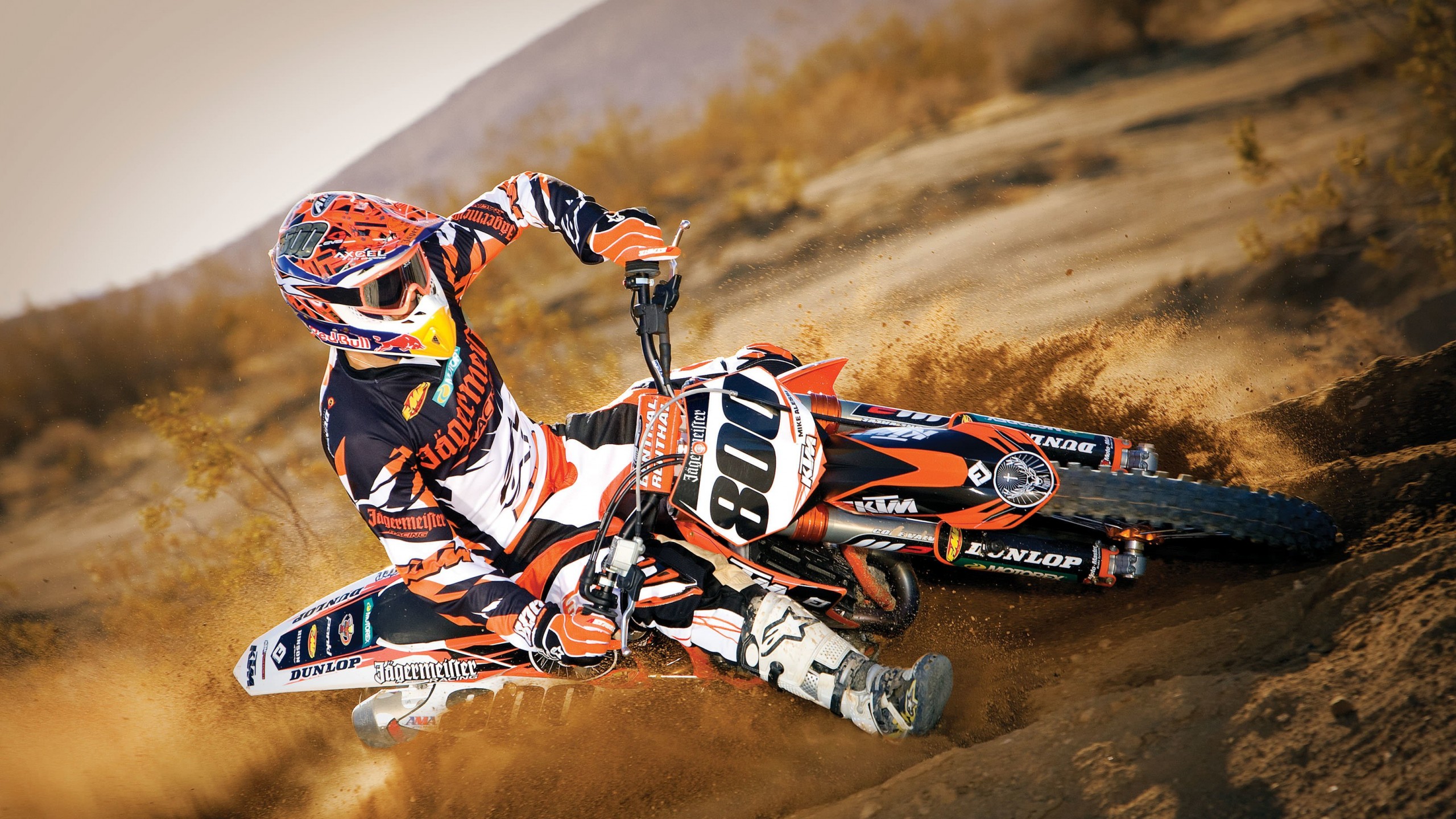 Mike Alessi Wallpaper for Social Media YouTube Channel Art