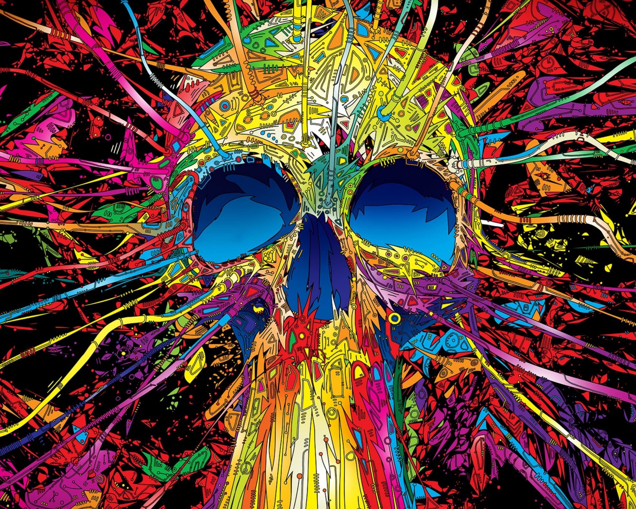 Psychedelic Skull Wallpaper for Desktop 1280x1024
