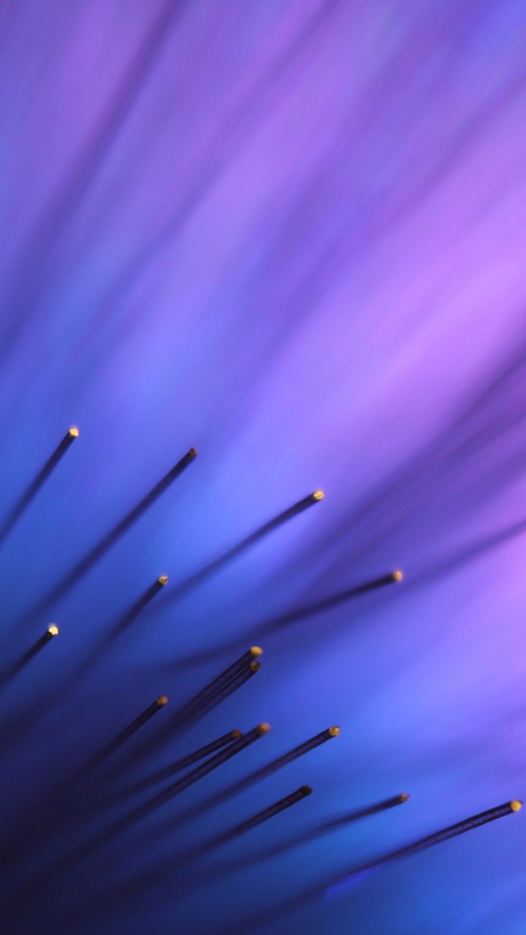 Purple Light Aurora Wallpaper for SAMSUNG Galaxy Note 3