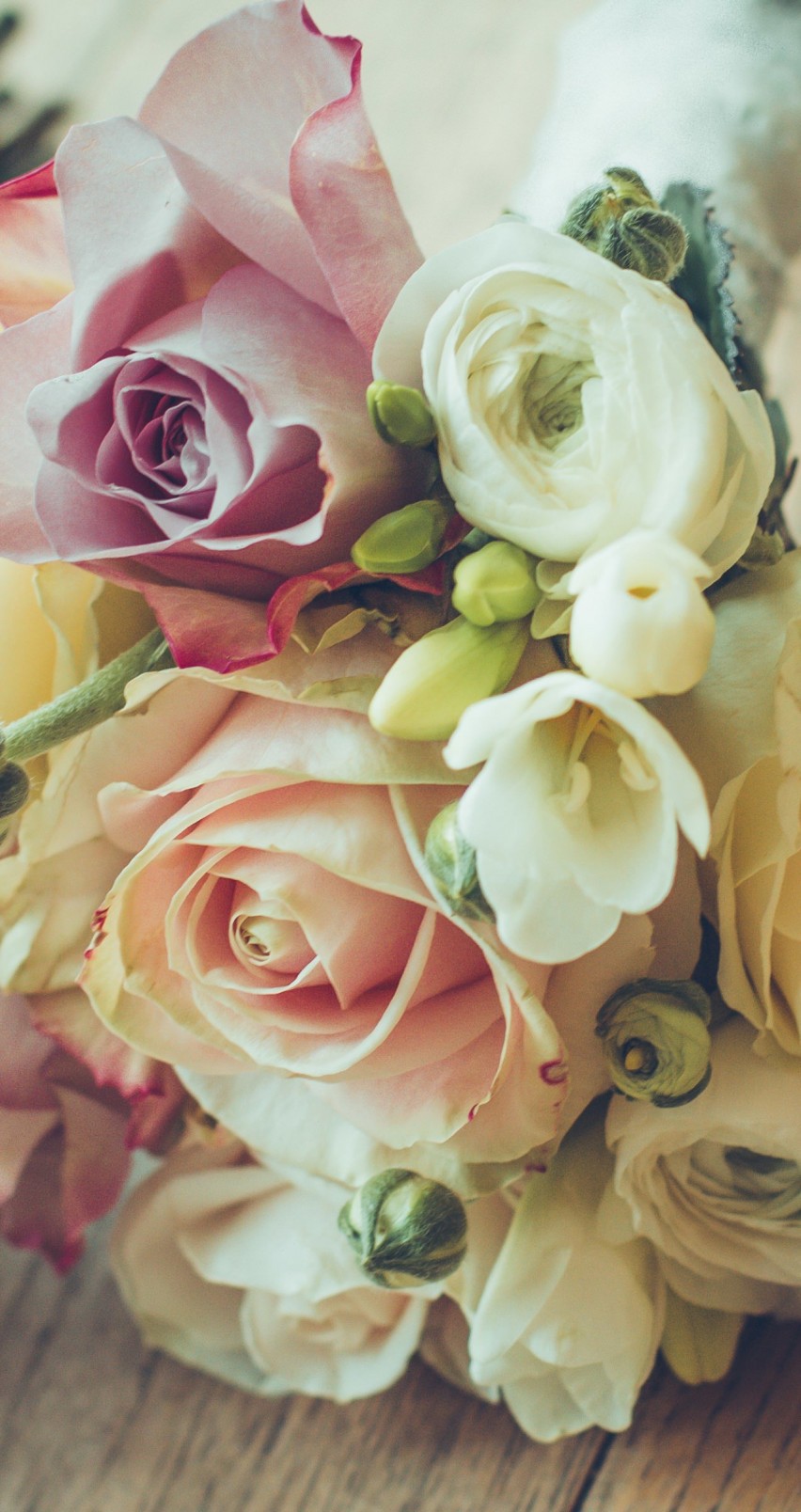Roses Bouquet Composition Wallpaper for Apple iPhone 6 / 6s