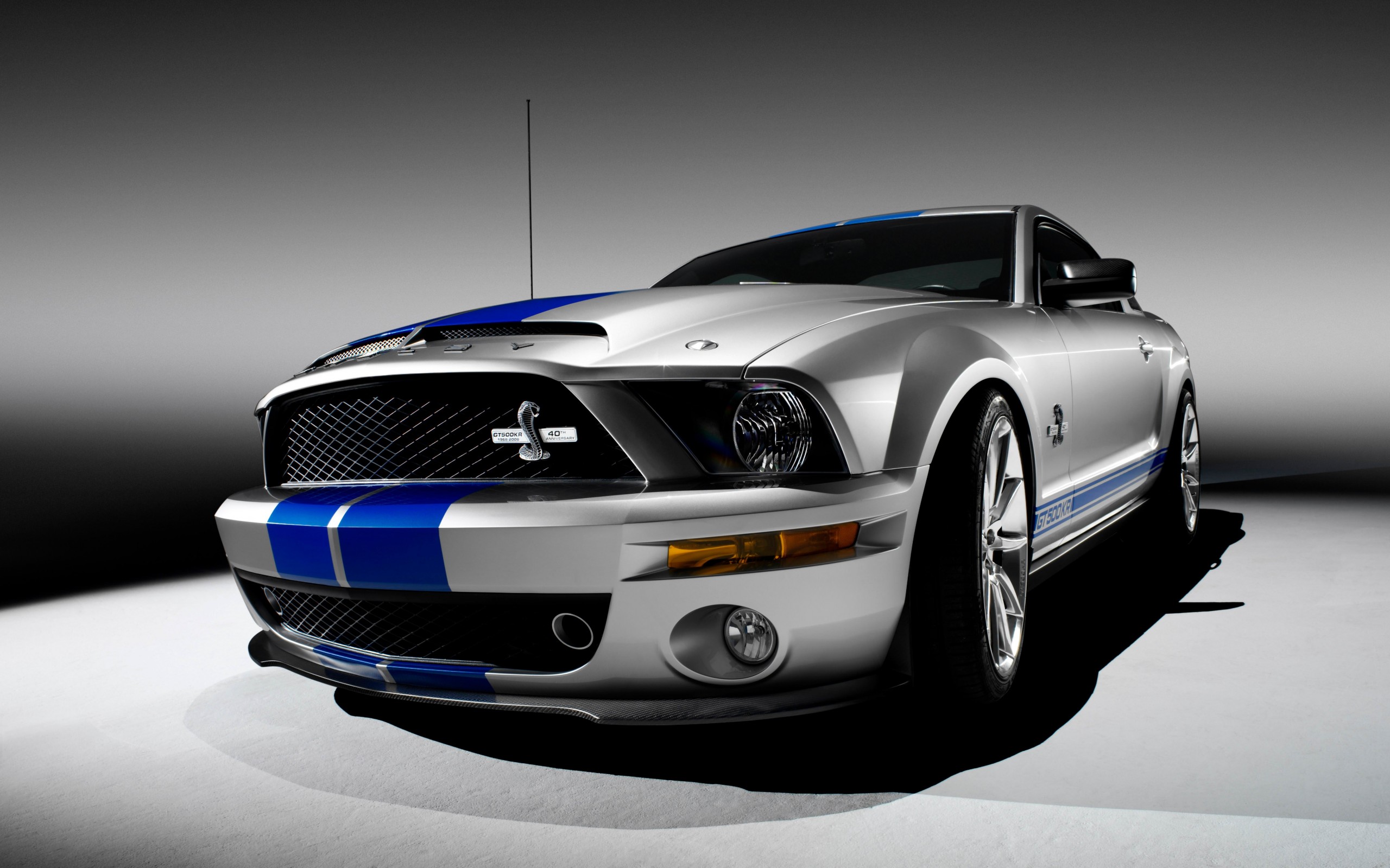 Shelby Mustang GT500KR Wallpaper for Desktop 2560x1600