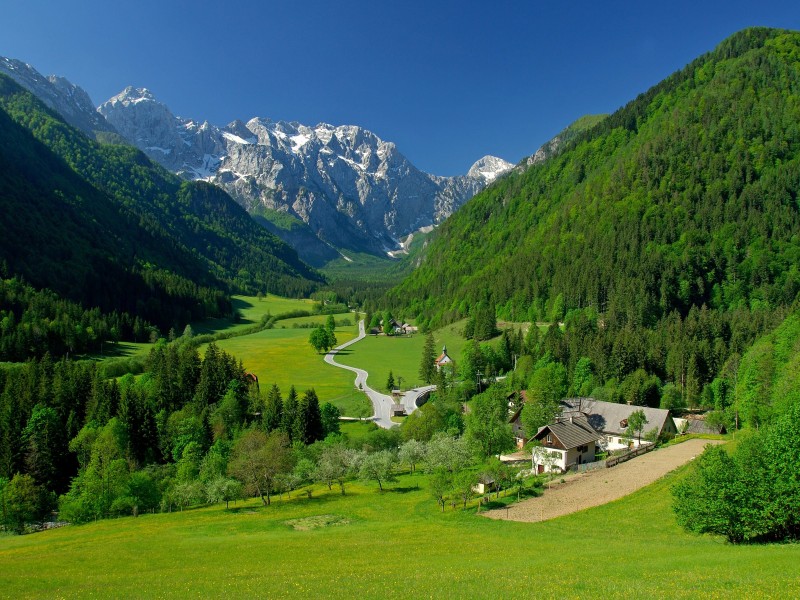 Spring In The Alpine Valley Wallpaper for Desktop 800x600
