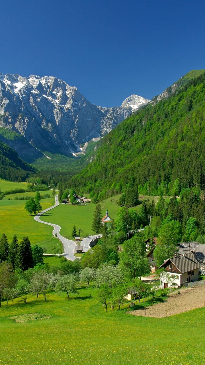 Spring In The Alpine Valley Wallpaper for Google Galaxy Nexus