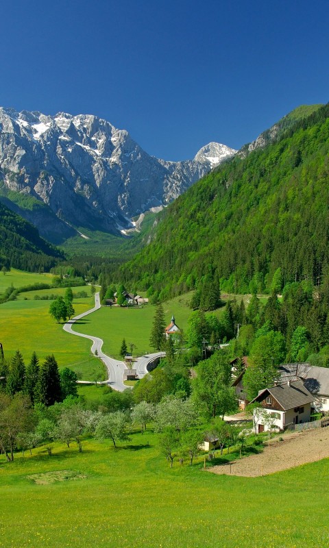 Spring In The Alpine Valley Wallpaper for SAMSUNG Galaxy S3 Mini