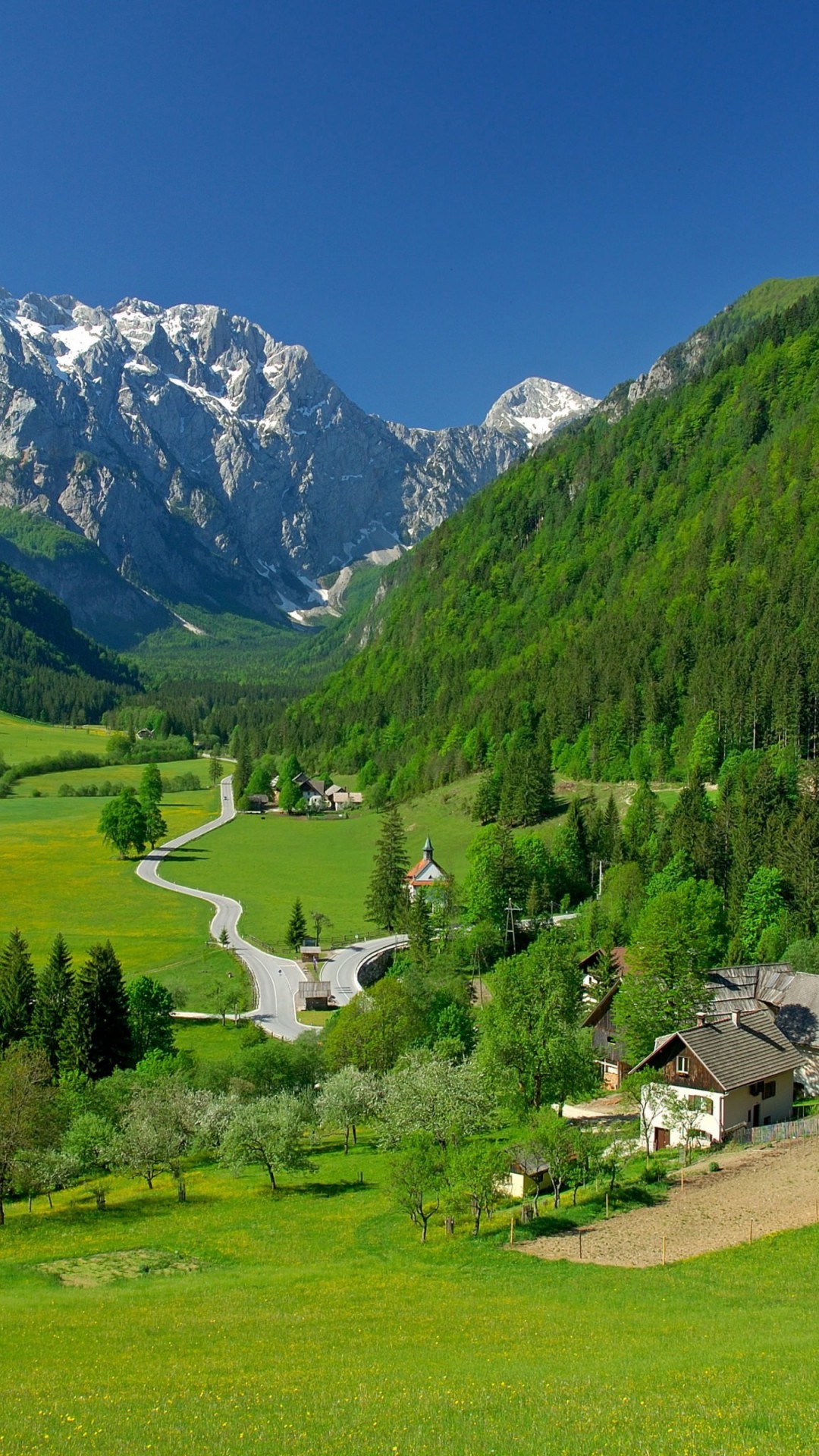 Spring In The Alpine Valley Wallpaper for Google Nexus 5X