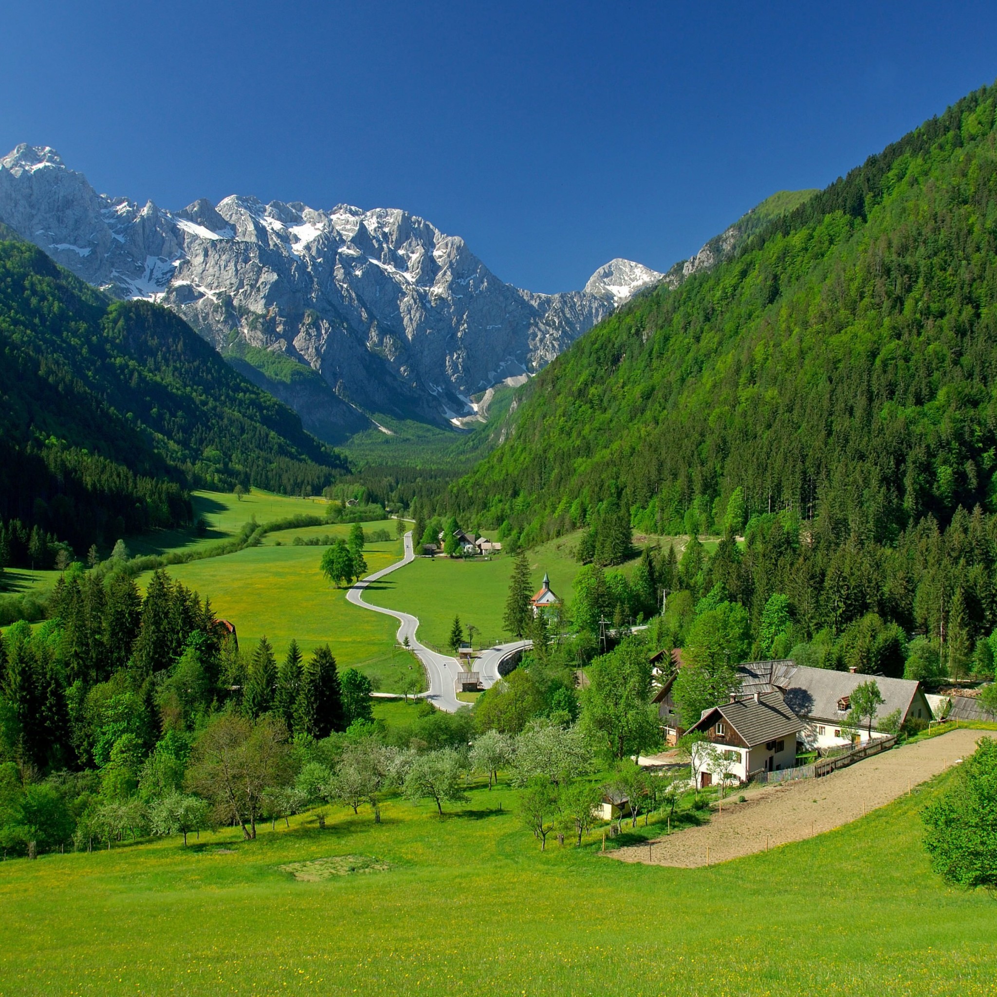 Spring In The Alpine Valley Wallpaper for Google Nexus 9
