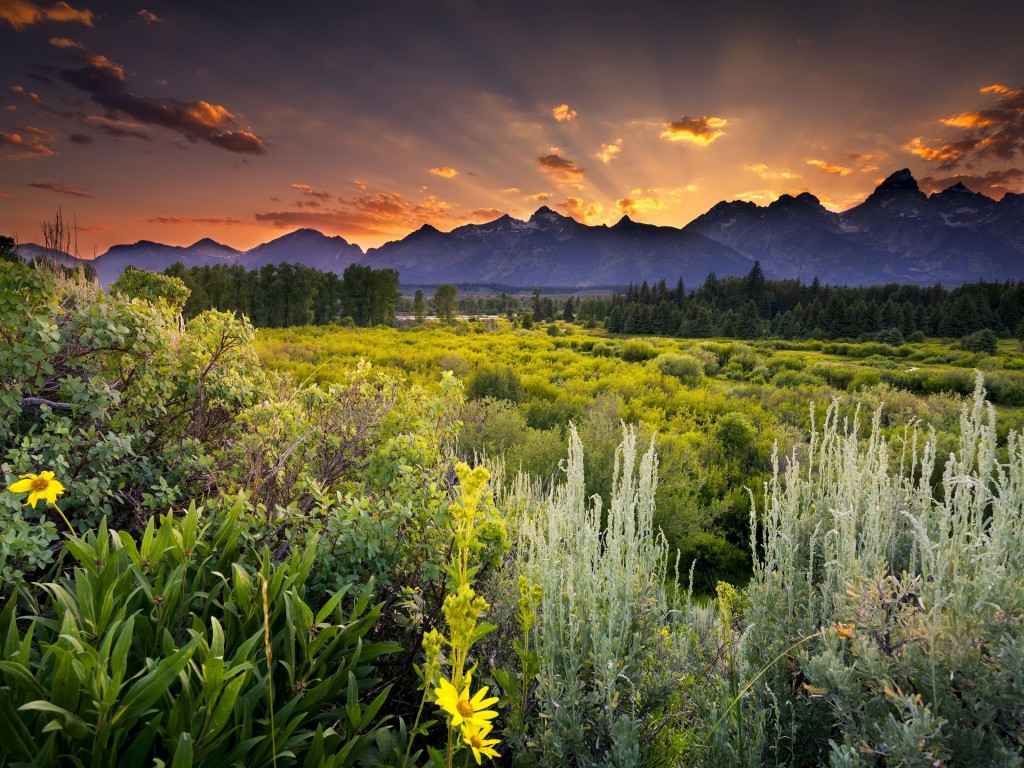 Sunset in Grand Teton National Park Wallpaper for Desktop 1024x768