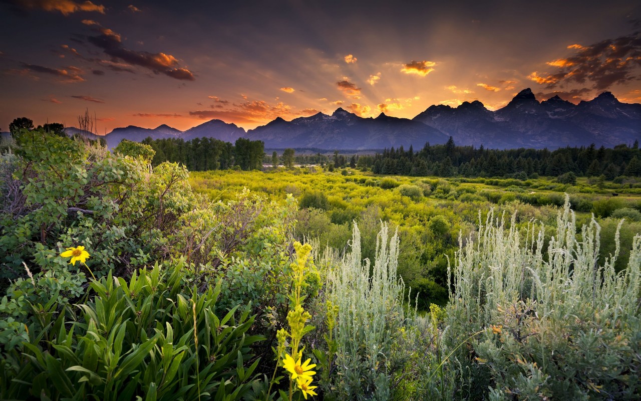 Sunset in Grand Teton National Park Wallpaper for Desktop 1280x800