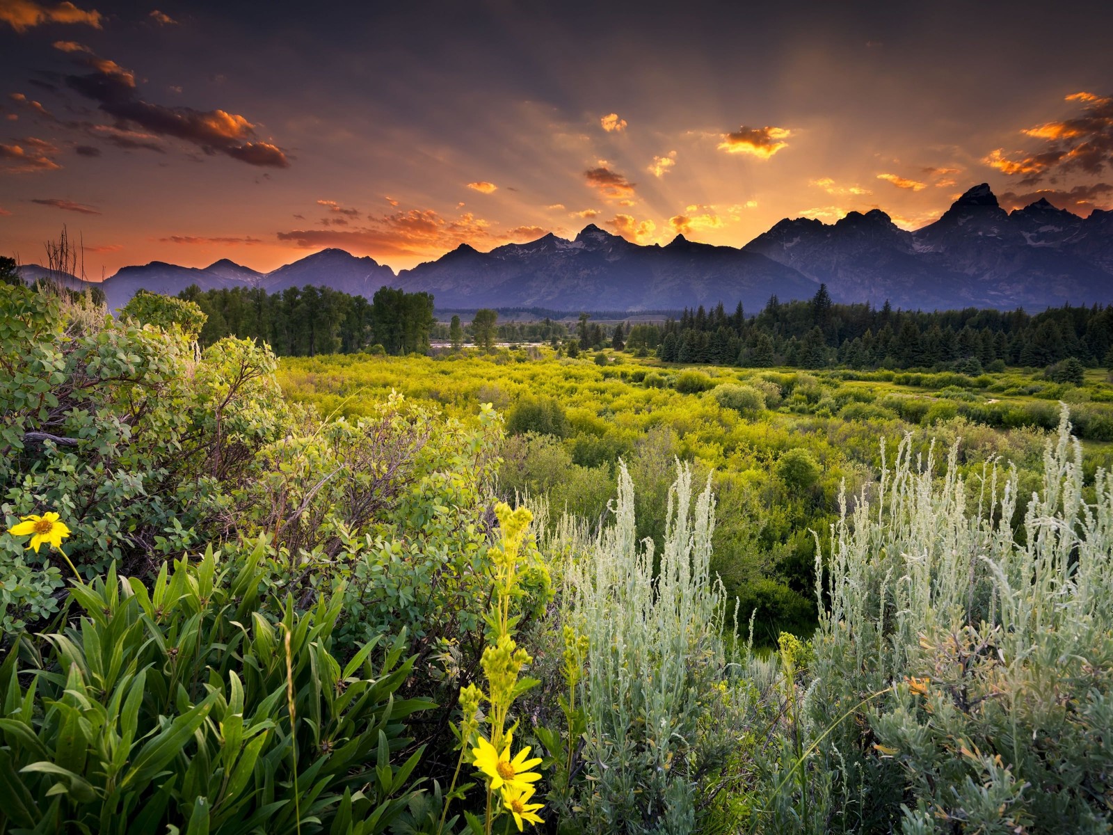 Sunset in Grand Teton National Park Wallpaper for Desktop 1600x1200