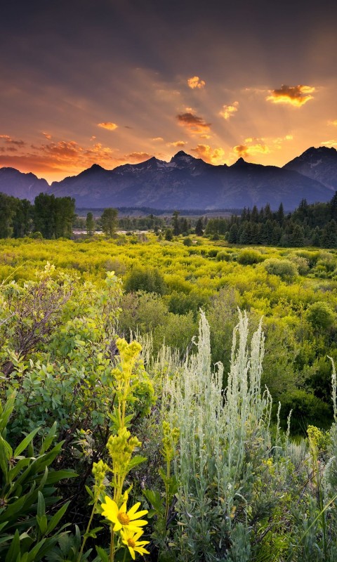 Sunset in Grand Teton National Park Wallpaper for SAMSUNG Galaxy S3 Mini