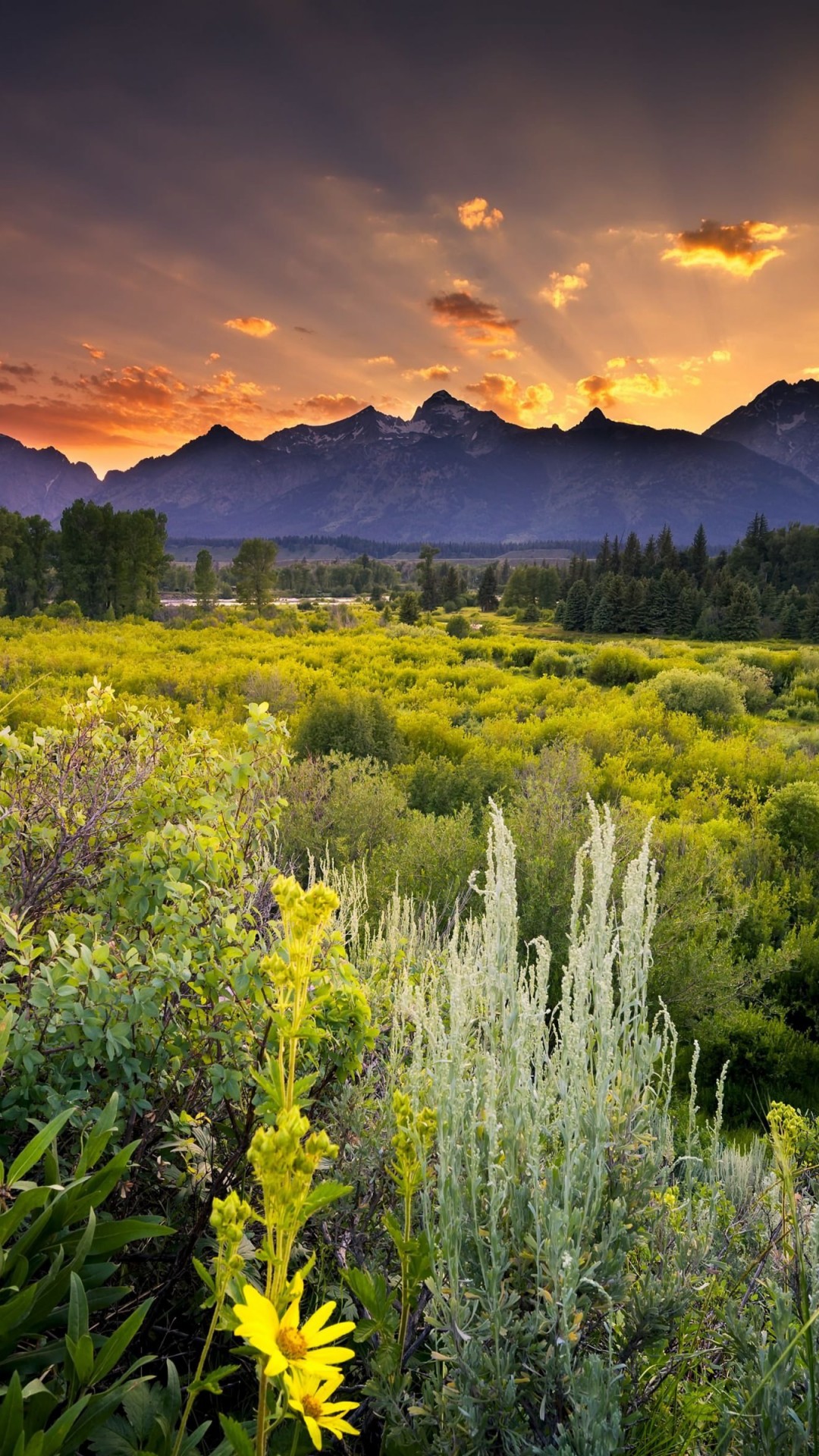 Sunset in Grand Teton National Park Wallpaper for SAMSUNG Galaxy S4