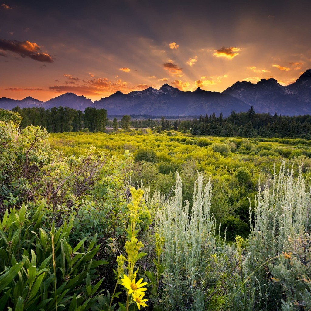 Sunset in Grand Teton National Park Wallpaper for Apple iPad 2
