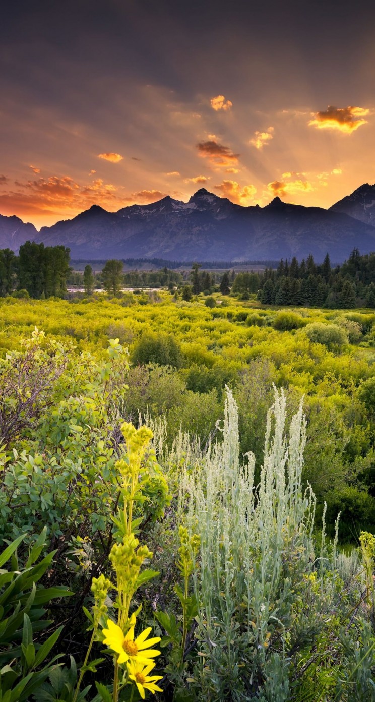Sunset in Grand Teton National Park Wallpaper for Apple iPhone 5 / 5s