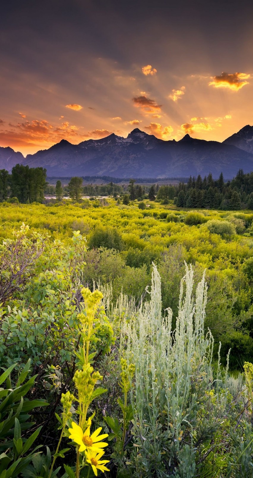 Sunset in Grand Teton National Park Wallpaper for Apple iPhone 6 / 6s