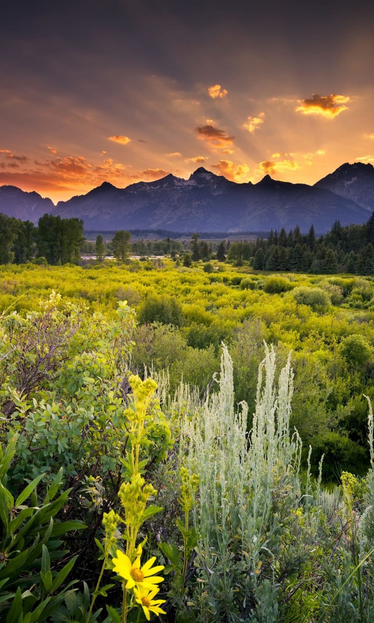 Sunset in Grand Teton National Park Wallpaper for Google Nexus 4