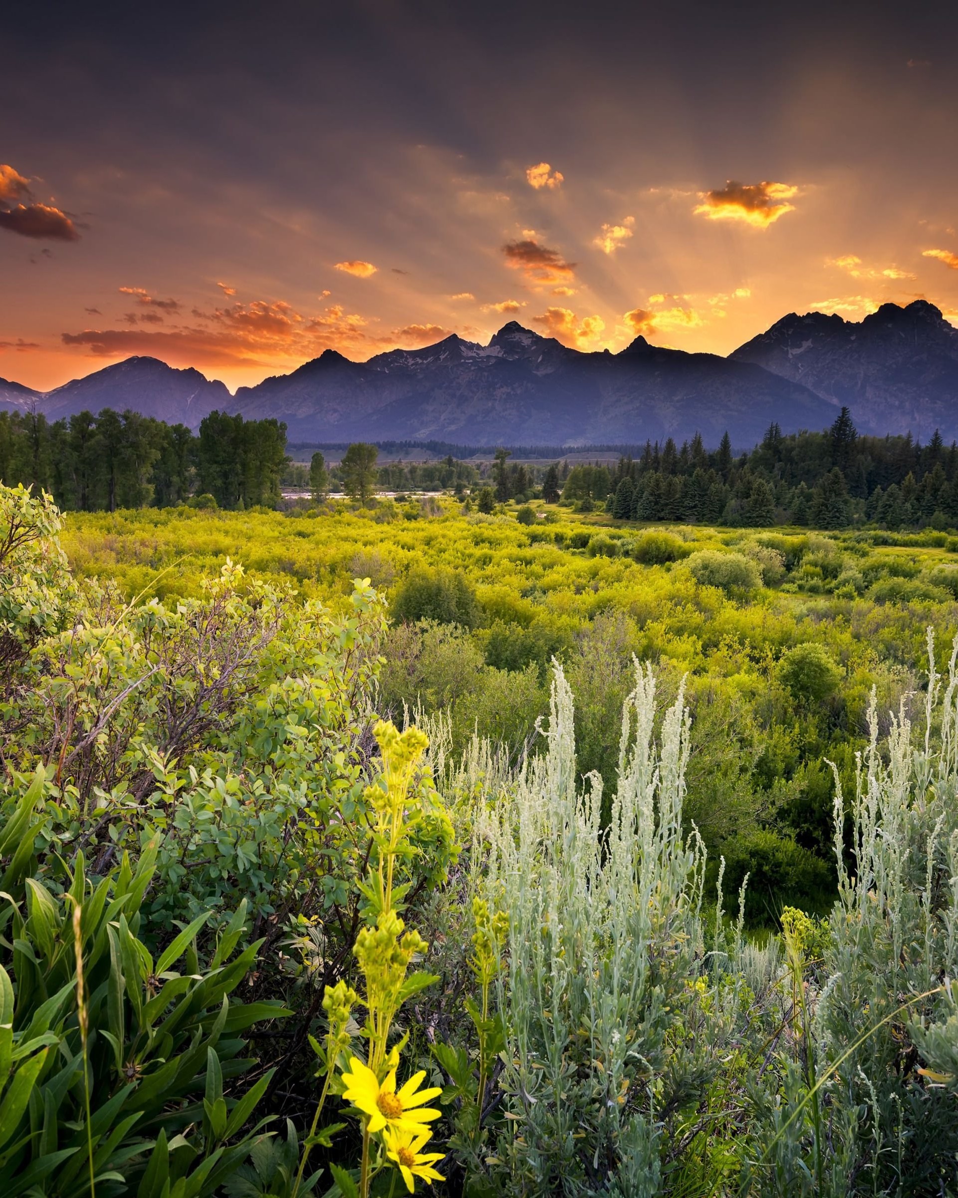 Sunset in Grand Teton National Park Wallpaper for Google Nexus 7
