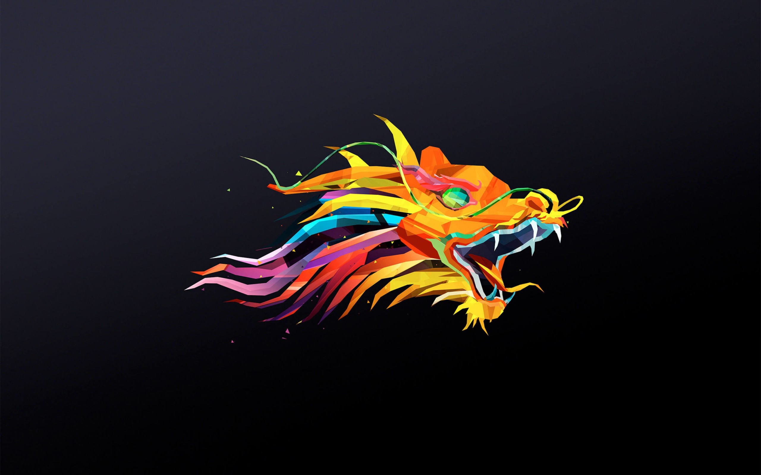The Dragon Wallpaper for Desktop 2560x1600