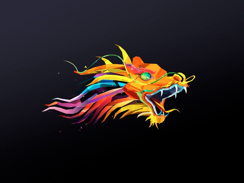 The Dragon Wallpaper for Desktop 800x600