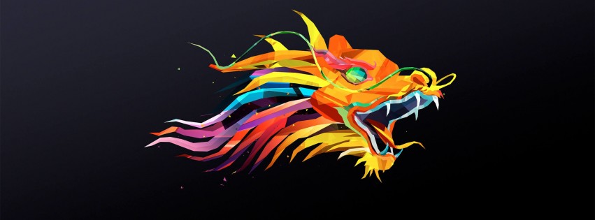 The Dragon Wallpaper for Social Media Facebook Cover