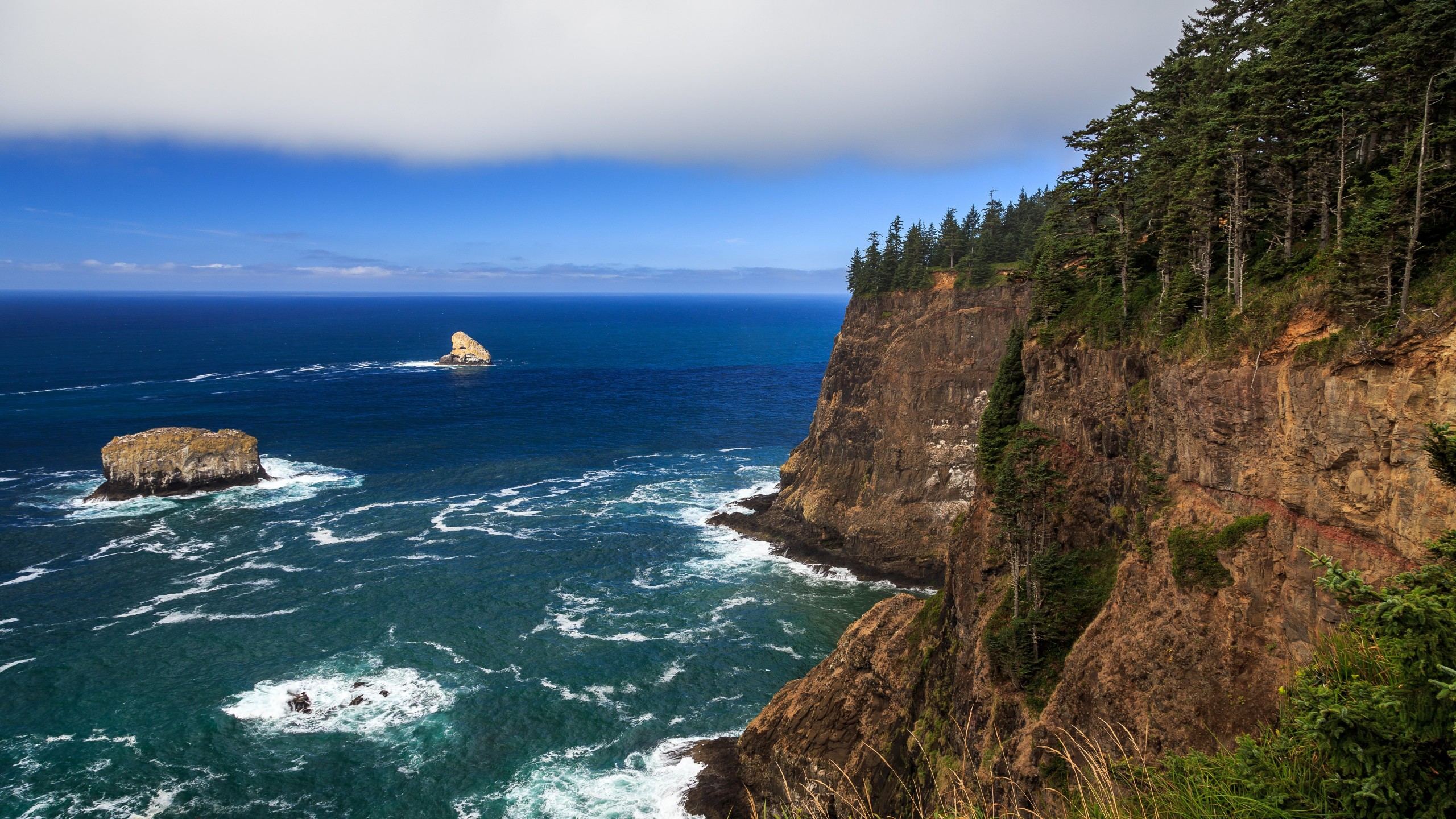 The Left Edge, Cape Lookout, Oregon Wallpaper for Desktop 2560x1440